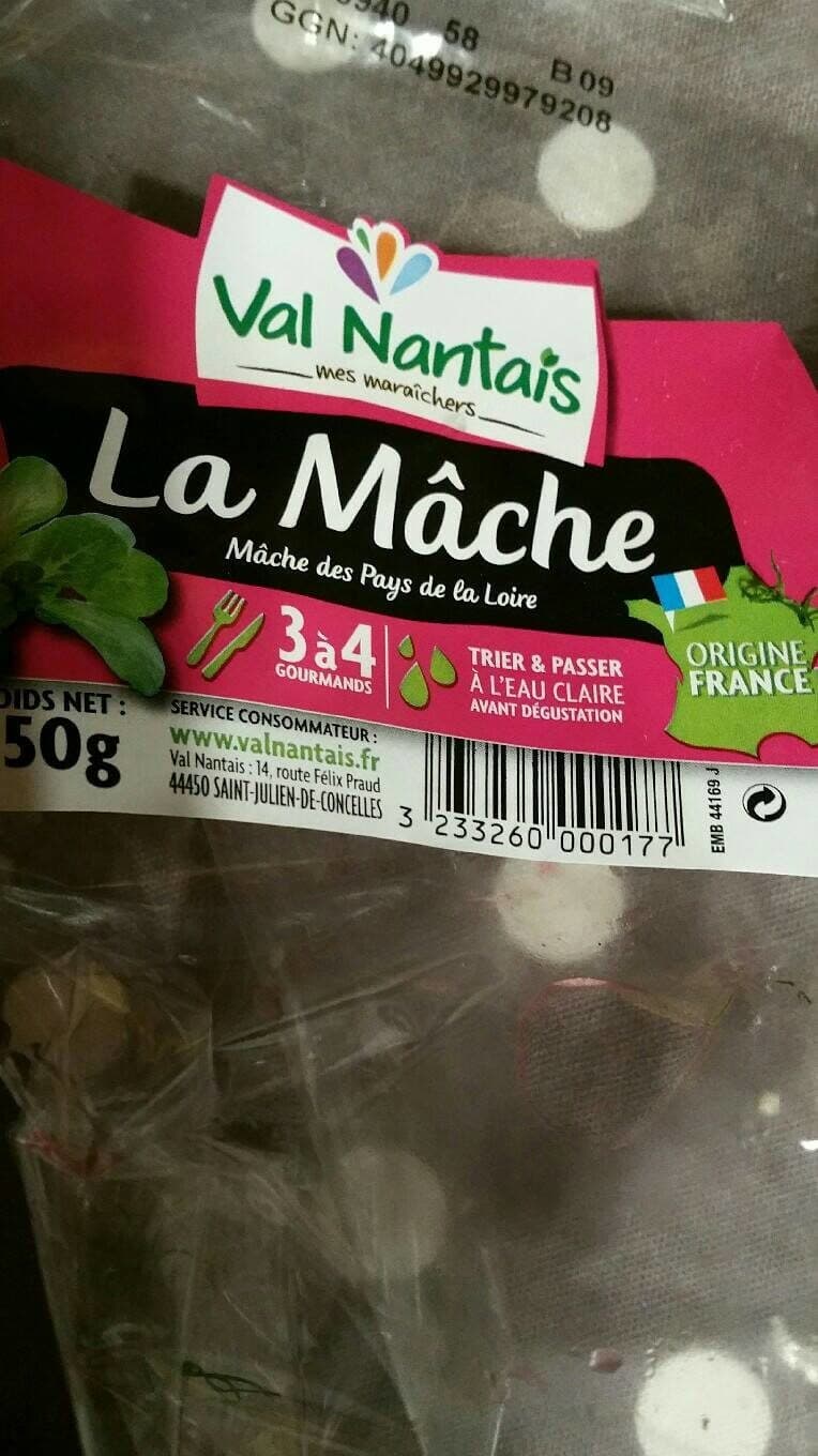 Val Nantais Mâche des Pays de Loire packshot