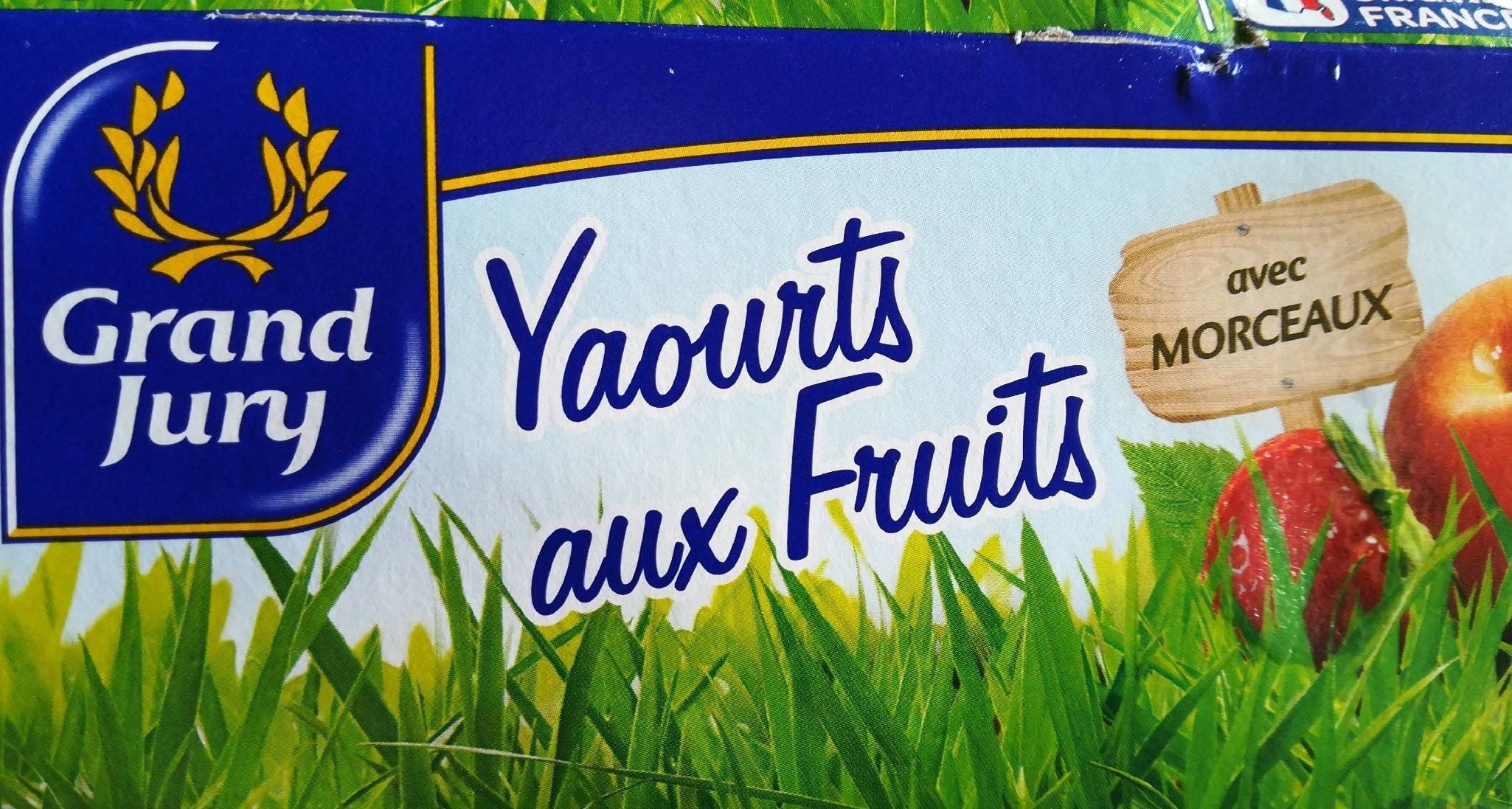 Grand Jury Yaourts aux fruits avec morceaux packshot