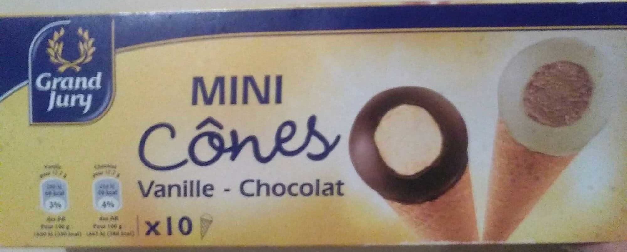 Grand Jury Mini cônes vanille-chocolat packshot