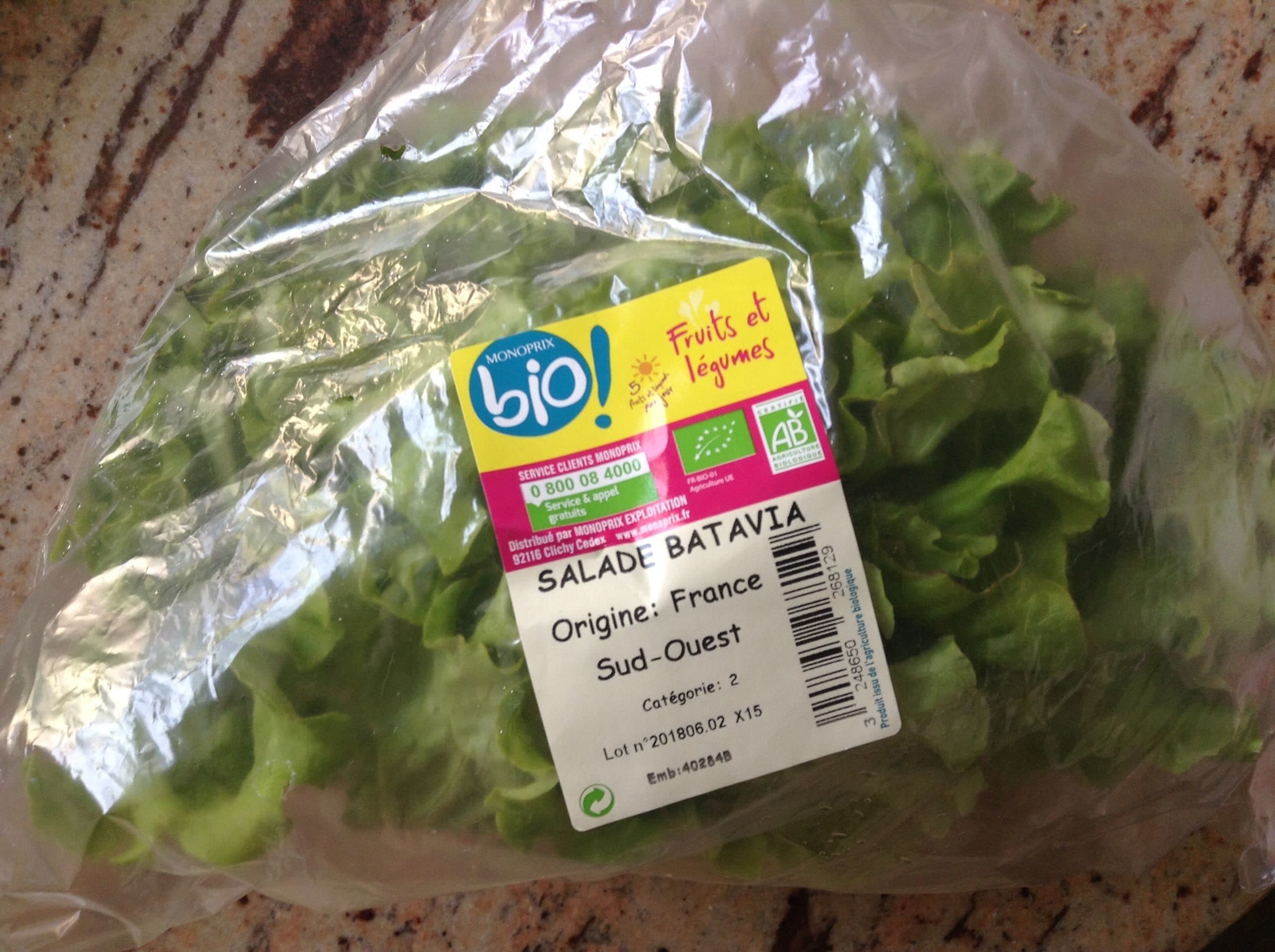 Monoprix bio! Salade batavia packshot