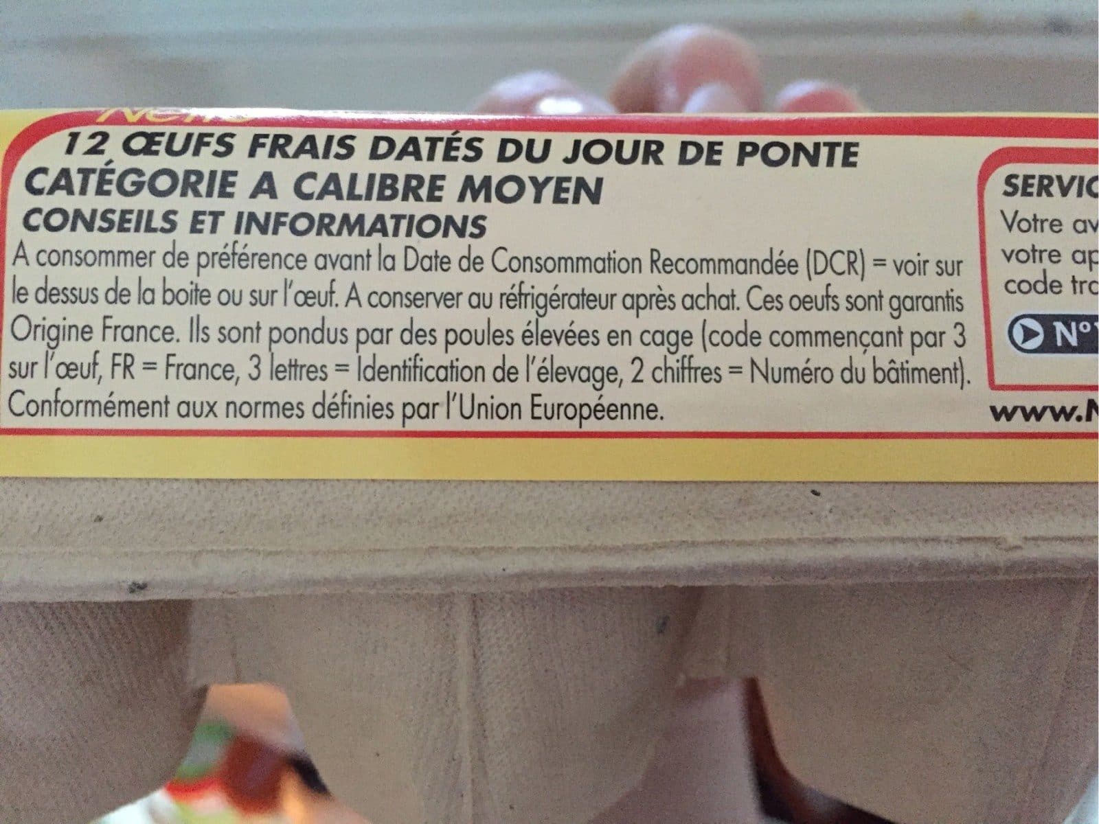 Netto Oeufs x 12 packshot