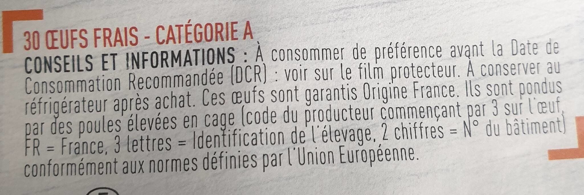 Netto Oeuf frais 30 packshot
