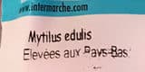 Capitaine Houat Moules de Hollande vivantes & nettoyées packshot