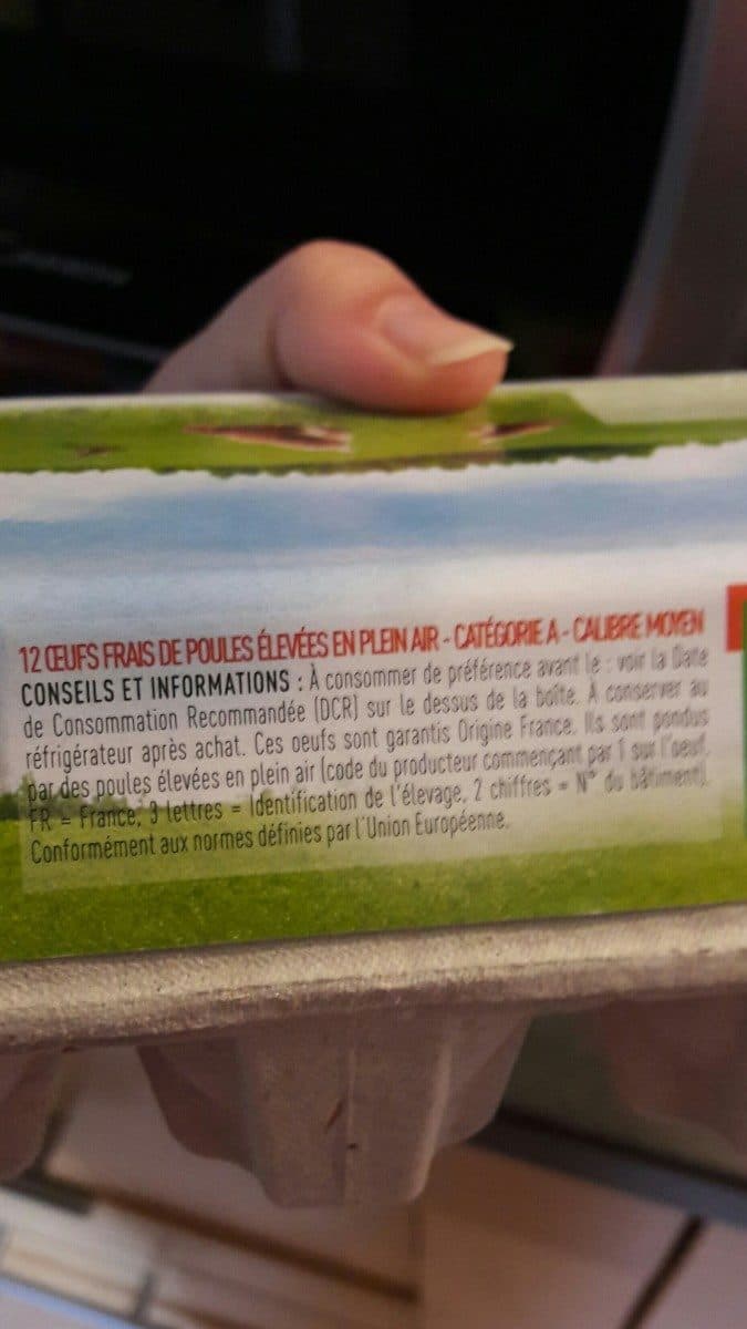 Netto 12 œufs Frais De Poules élevées En Plein Air Netto packshot