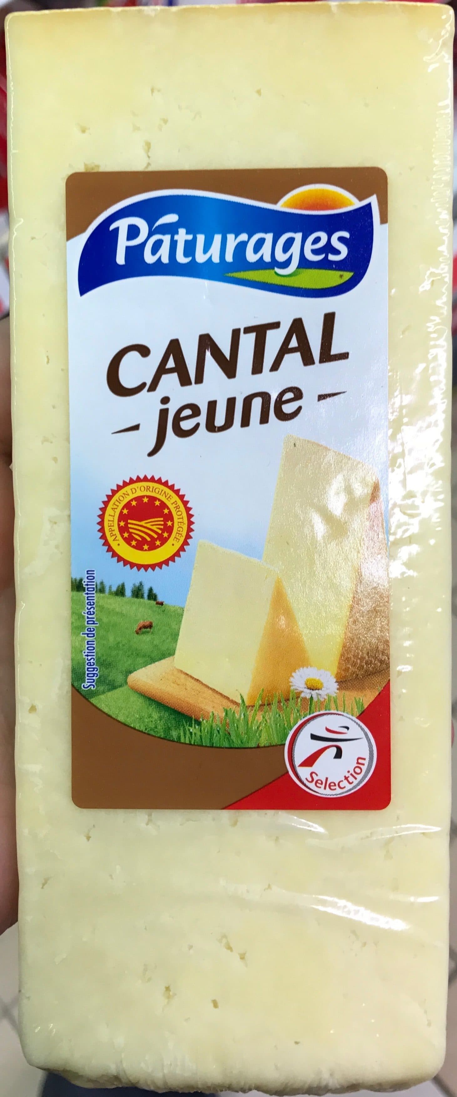 Pâturages Cantal jeune packshot
