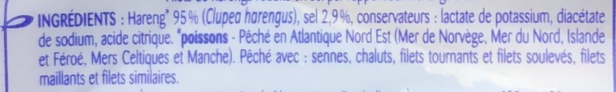 Odyssée Harengs fumés reduits en sel packshot