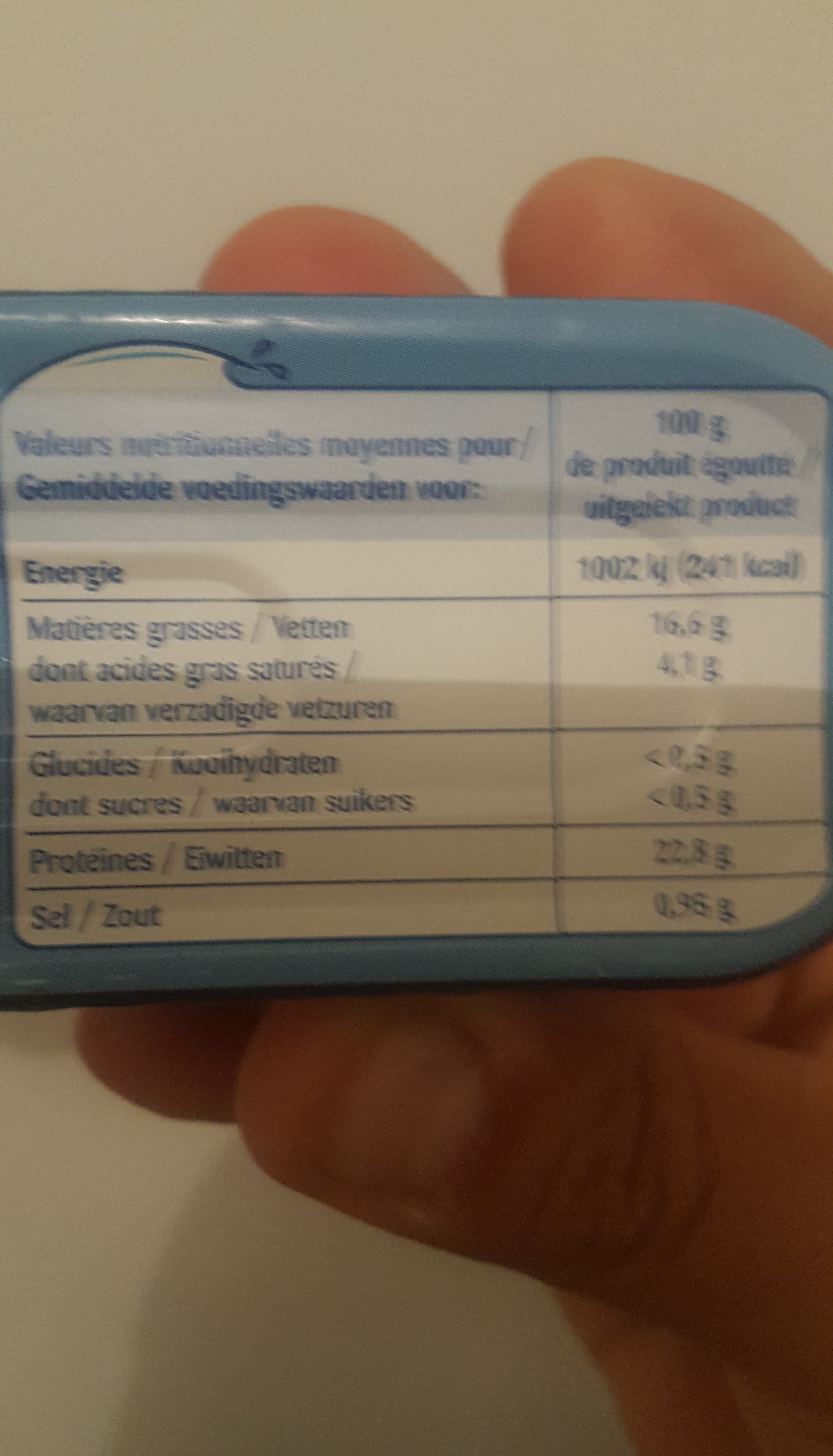 Odyssee Filets de Maquereaux Grillés au naturel packshot