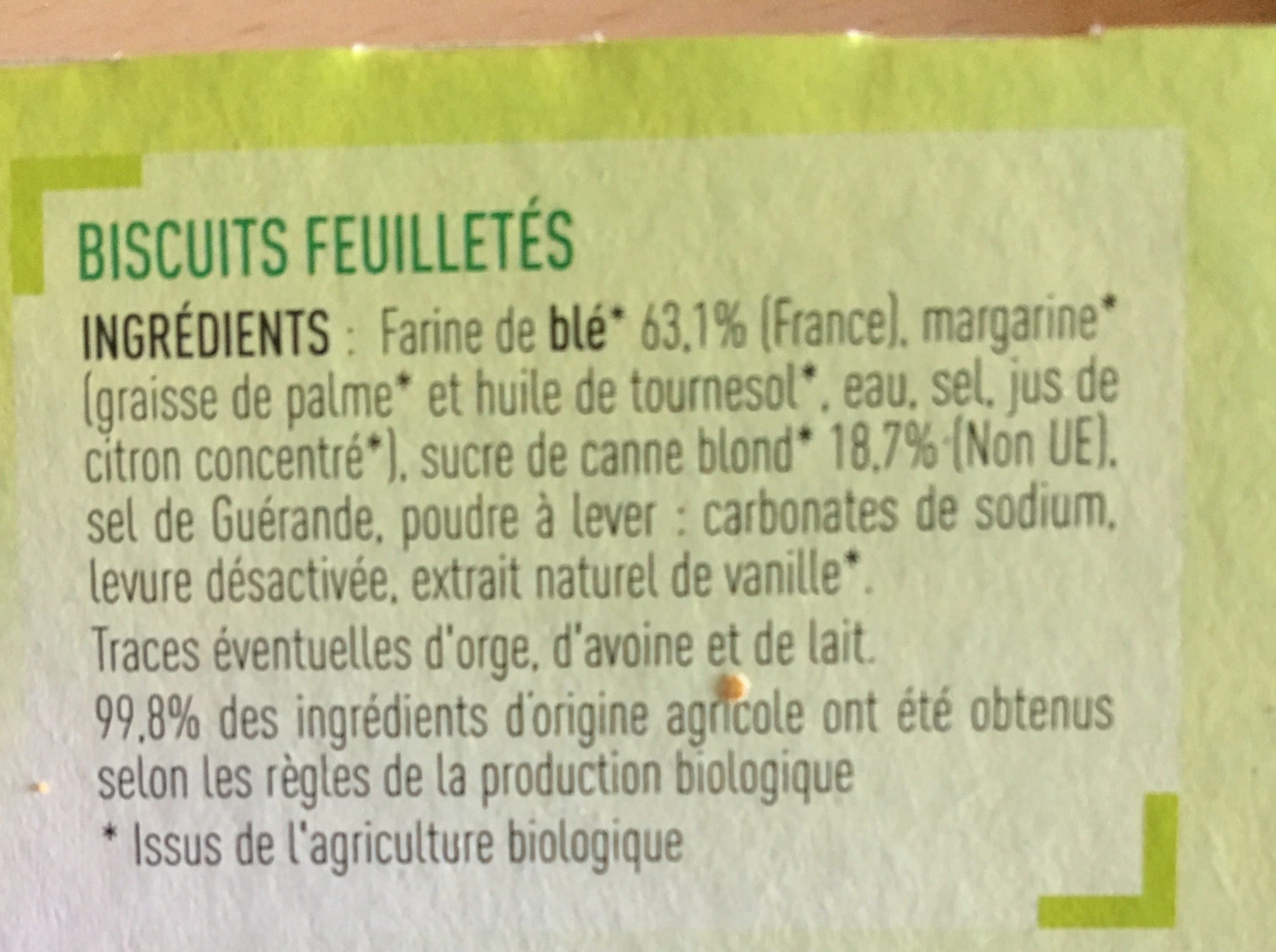 Netto Palmiers au sucre de canne roux 100g BIO packshot
