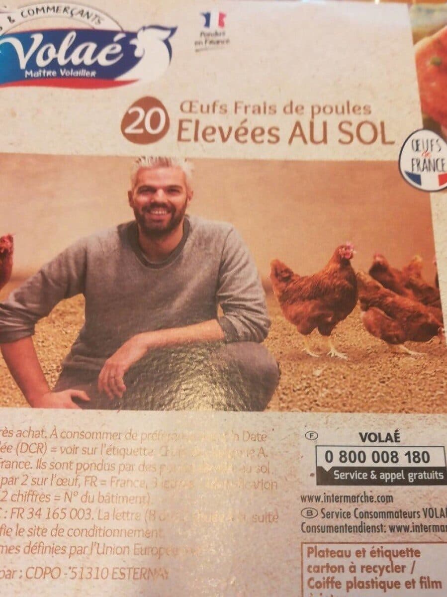 Volaé 20 oeufs frais de poules élevées au sol packshot