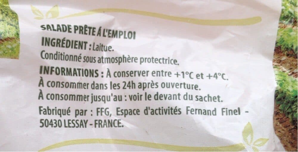 Saint eloi Coeurs de laitue packshot