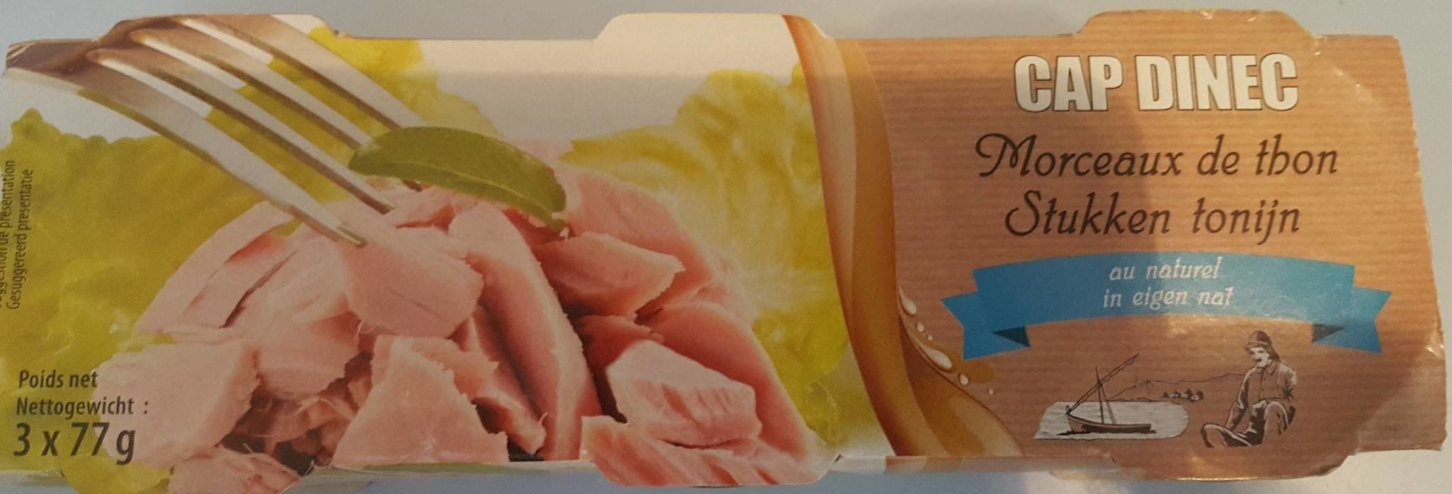 Cap Dinec Morceaux de thon packshot