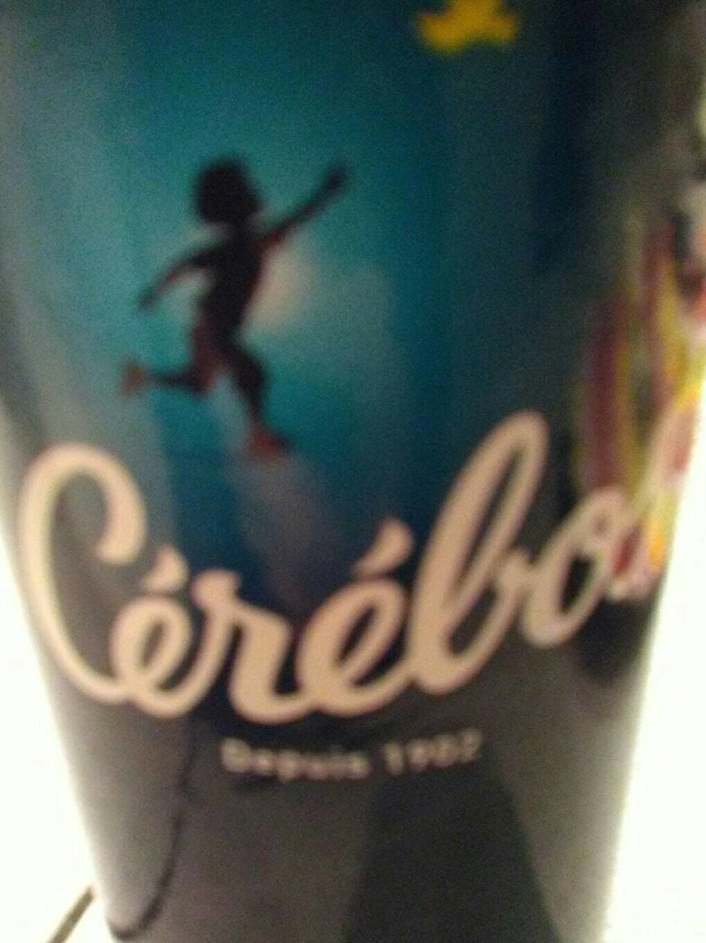 Cérébos Sel fin iodé packshot
