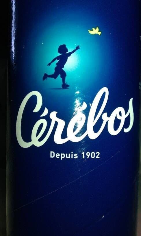 Cérébos Sel fin iodé packshot