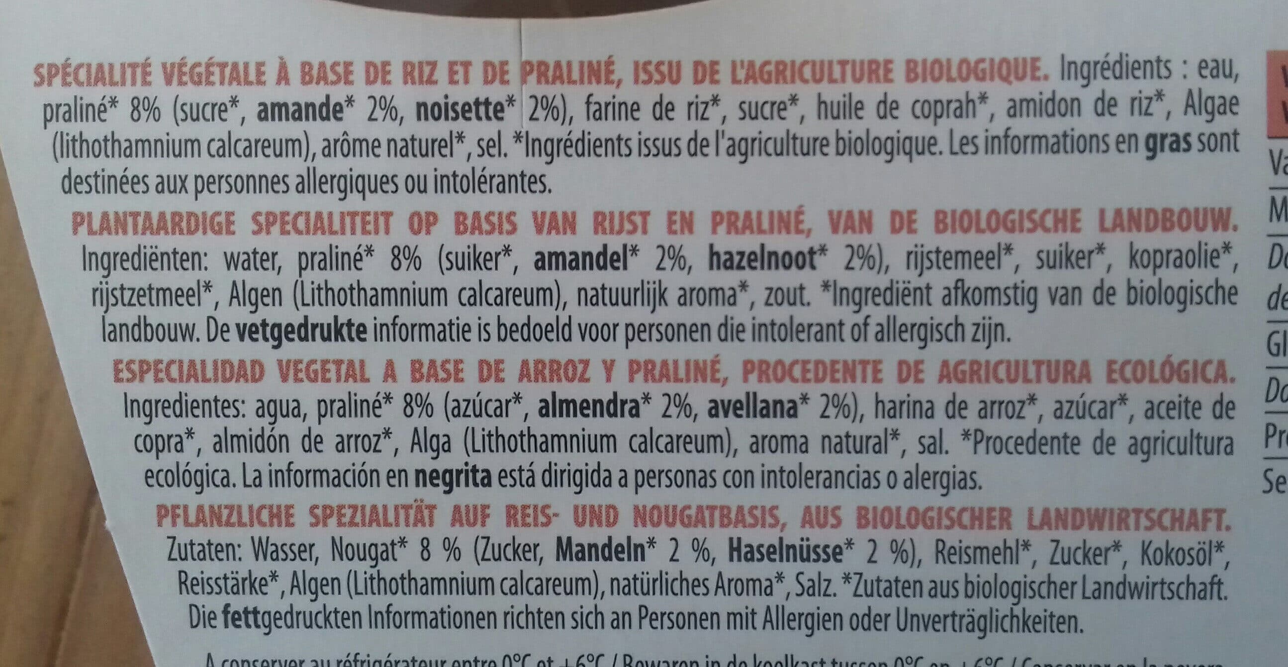 Grandeur Nature 100% végétal au riz dessert praliné packshot