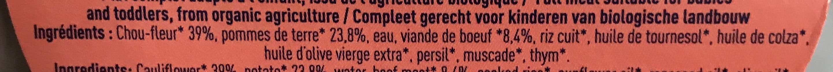 Grandeur Nature Chou-fleur Pommes de terre Bœuf avec petits morceaux packshot