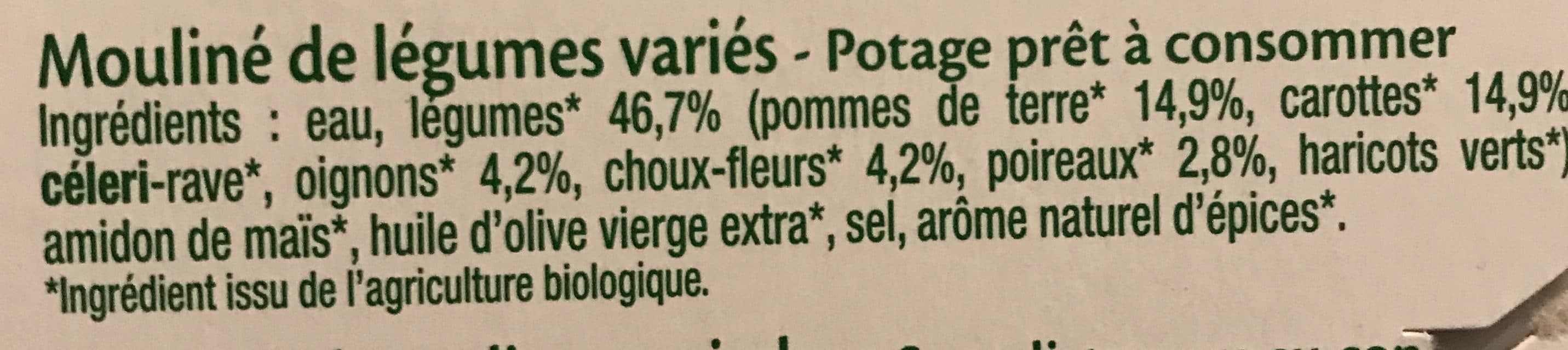 Grandeur nature Mouliné de légumes variés packshot