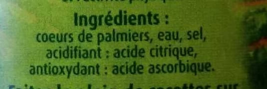 Géant vert Coeurs de palmiers miniatures packshot