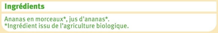 U Ananas en morceaux au jus d'ananas , 310g packshot