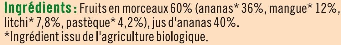 U Mélange de fruits tropicaux au jus d'ananas Bio packshot