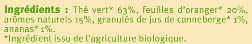 U Thé vert saveur ananas cranberry packshot