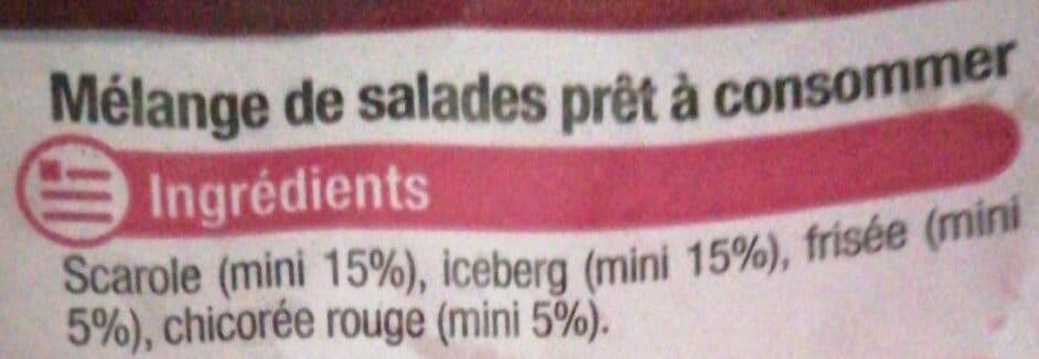 U Salade Maxi Composée - Sachet 350g packshot