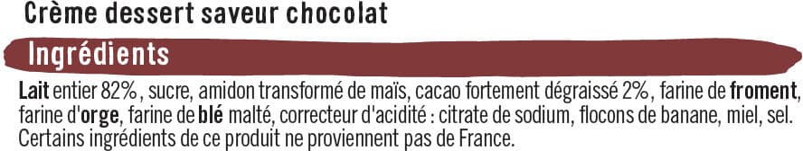 U Crème dessert saveur chocolat packshot