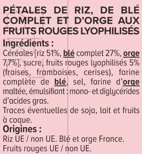 U Céréales Pétales de riz et blé orge avec fruits rouges boîte de 300g packshot