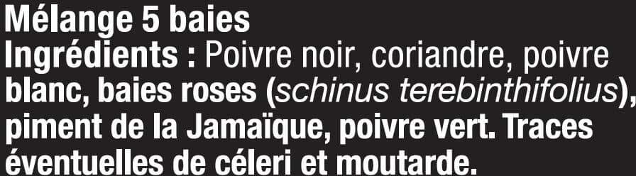 U Moulin rechargeable 5 baies 35g packshot