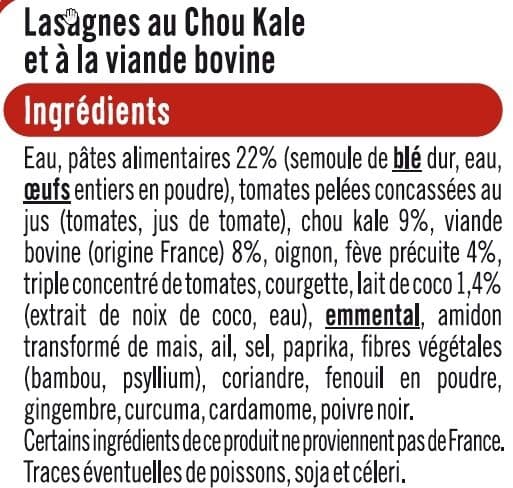 U Lasagne au chou kale et à la viande bovine packshot