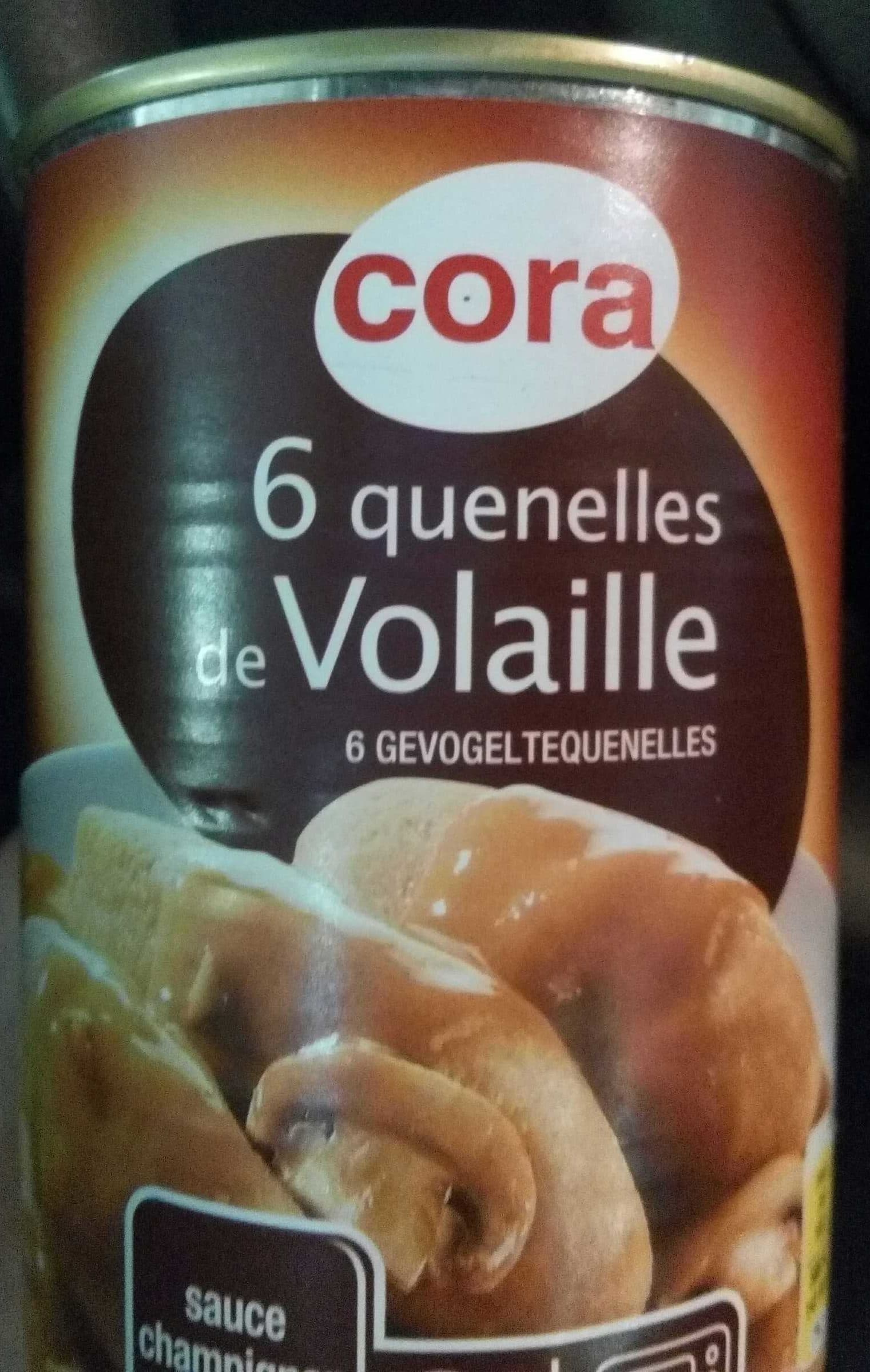 Cora 6 quenelles de Volaille packshot
