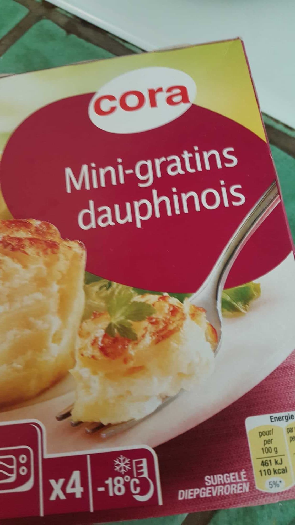 Cora Mini gratin Dauphinois packshot