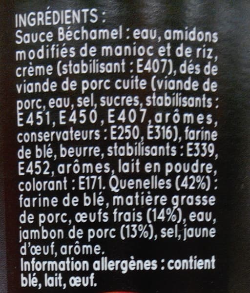 Petitjean Maxi Quenelles à Gratiner, Jambon sauce béchamel packshot