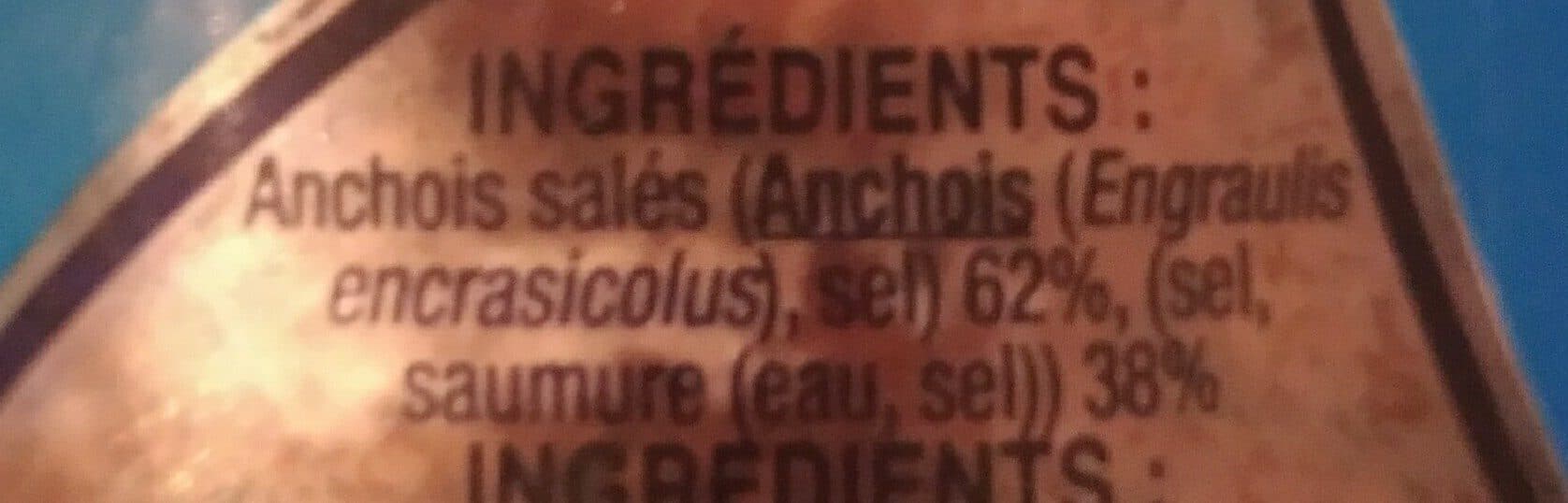 Belmonte Belmonte, Filets d'anchois au sel, le bocal de packshot