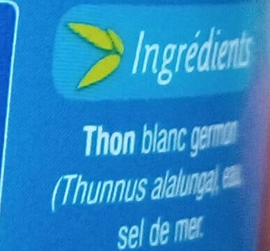 Phare d'Eckmühl Thon blanc pêché a la ligne au naturel packshot