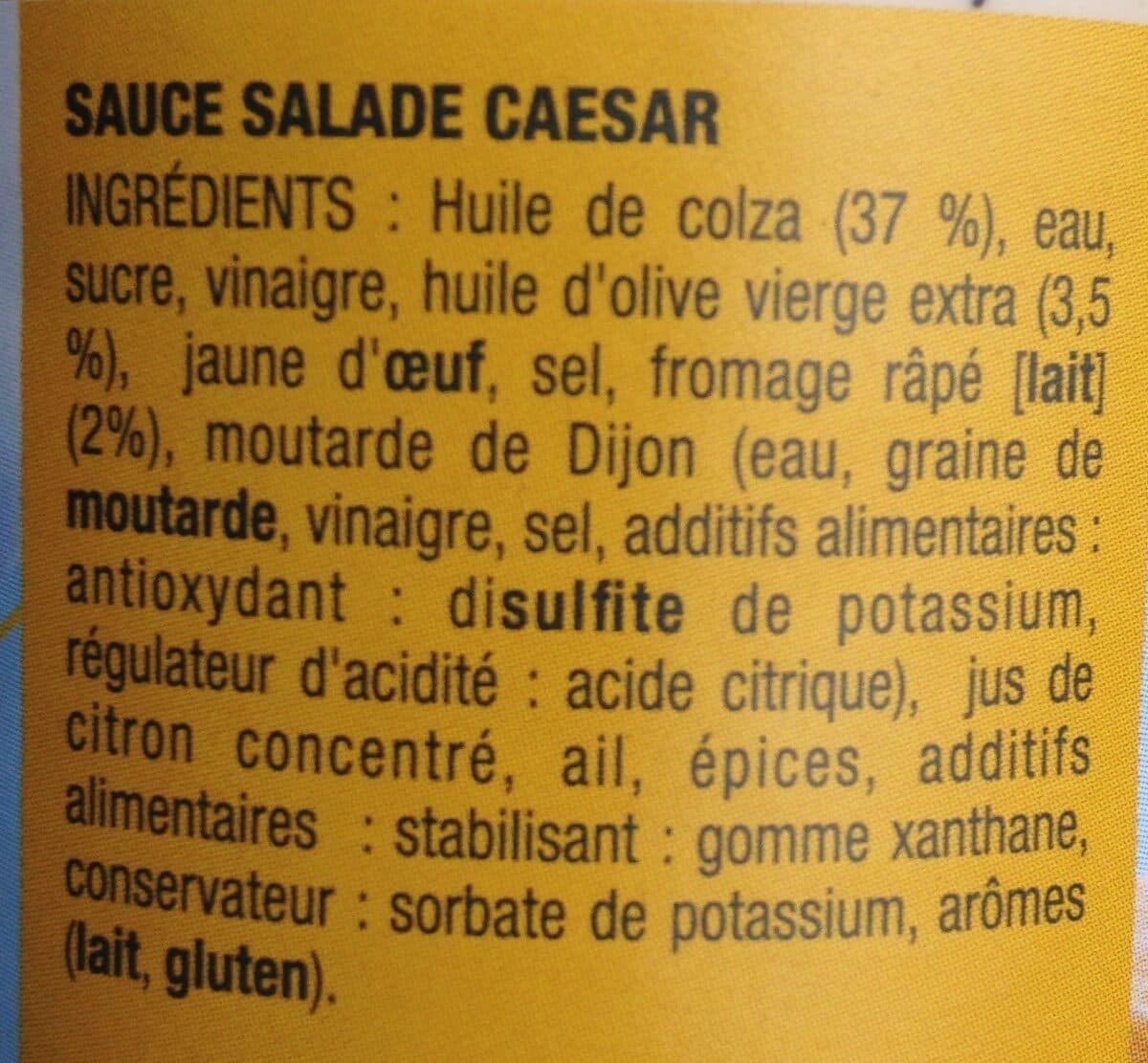 Lesieur Sauce salade caesar packshot