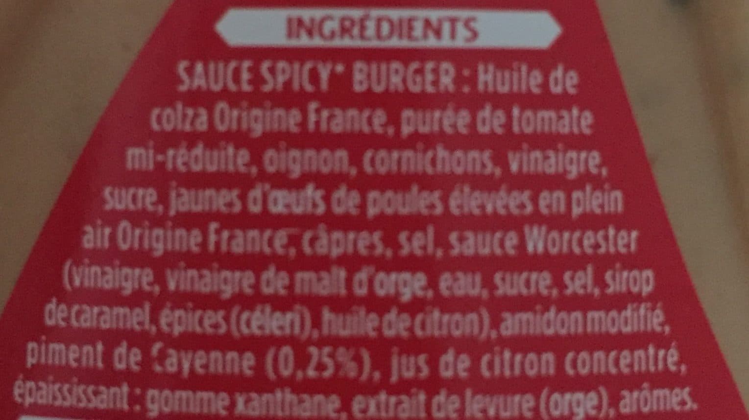 Lesieur Spicy burger packshot