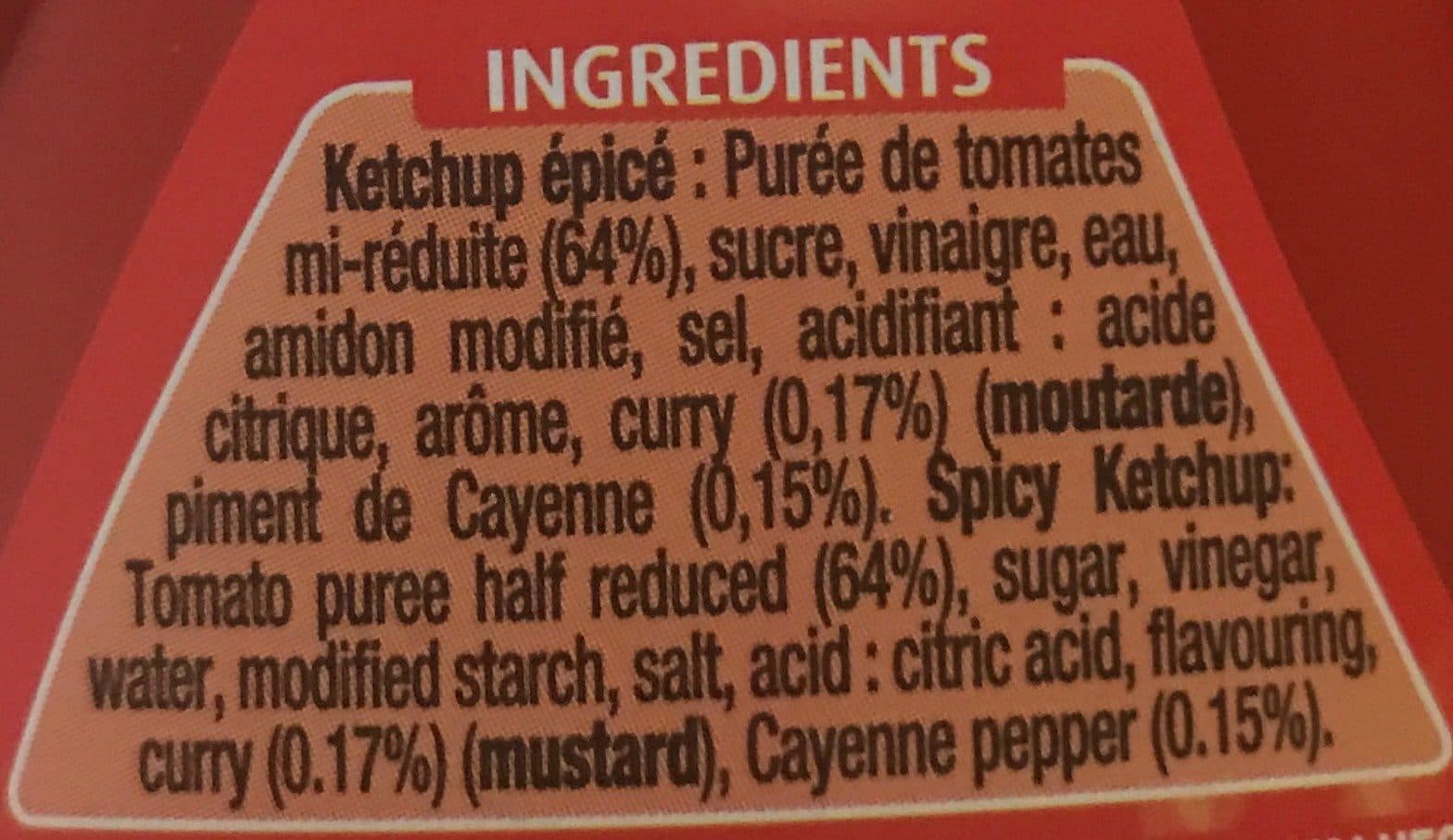 Lesieur Hot & spicy Ketchup packshot