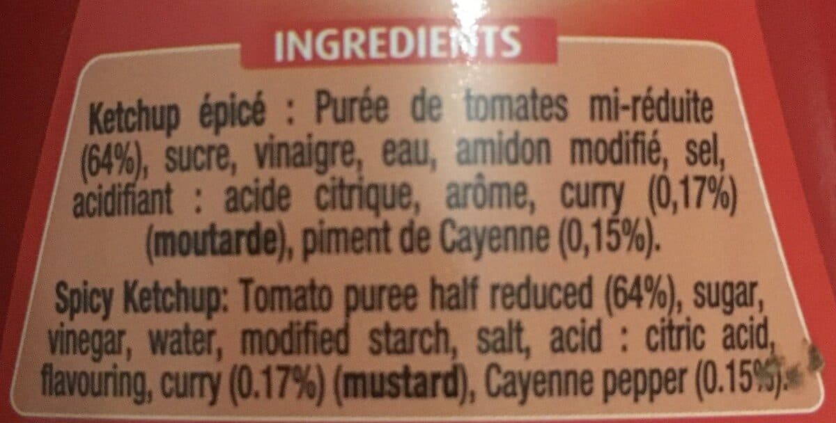 Lesieur Hot et spicy ketchup packshot