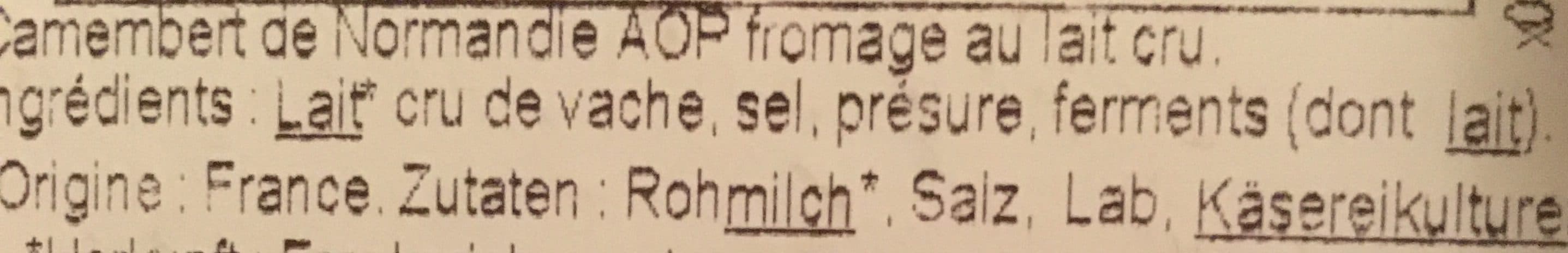 St Hilaire Camembert AOP Saint Hilaire Lait Cru Moule à La Louche packshot