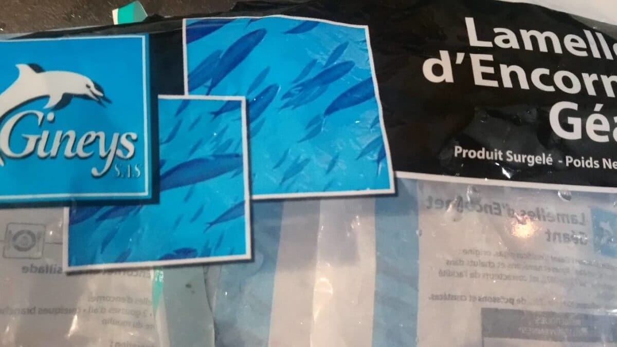 Gineys Lamelles d'encornet géant packshot