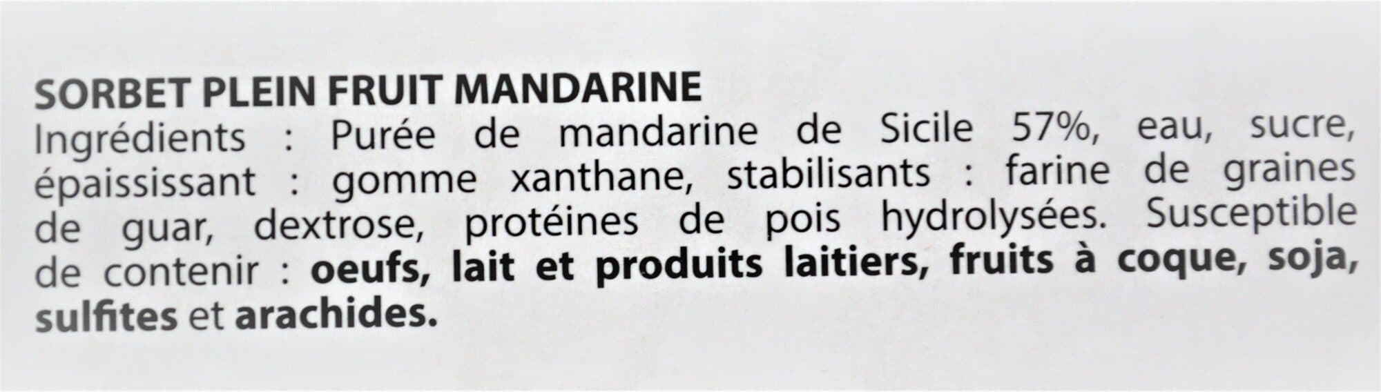 HDG Sorbet plein fruit MANDARINE, 57% de fruit packshot