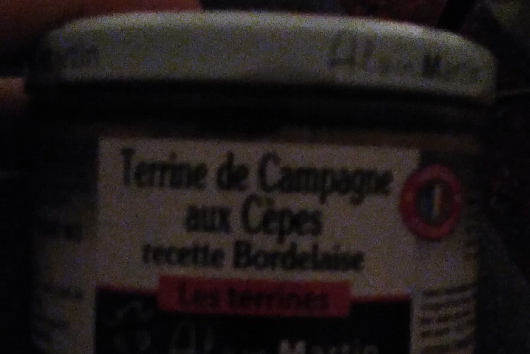 Les Terrines Alain Martin Terrine Bordelaise aux Cepes packshot