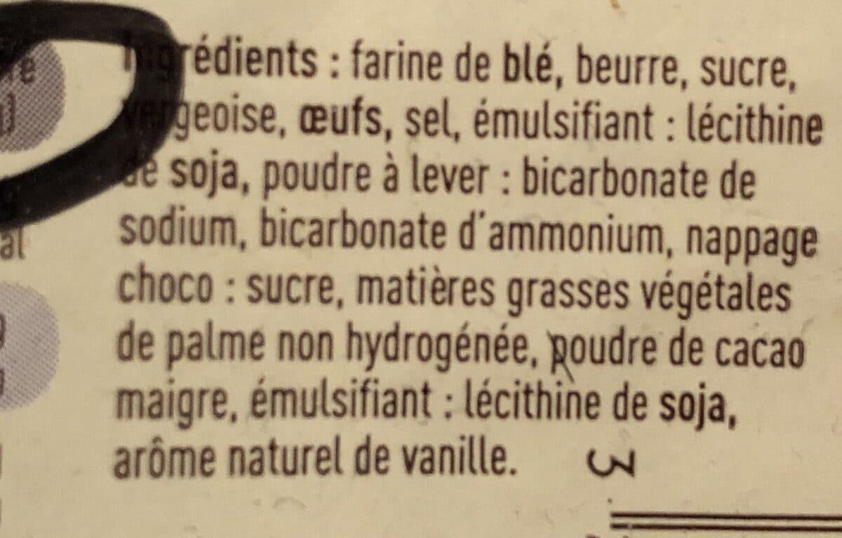 Bourdon Gaufres Fines Choco packshot
