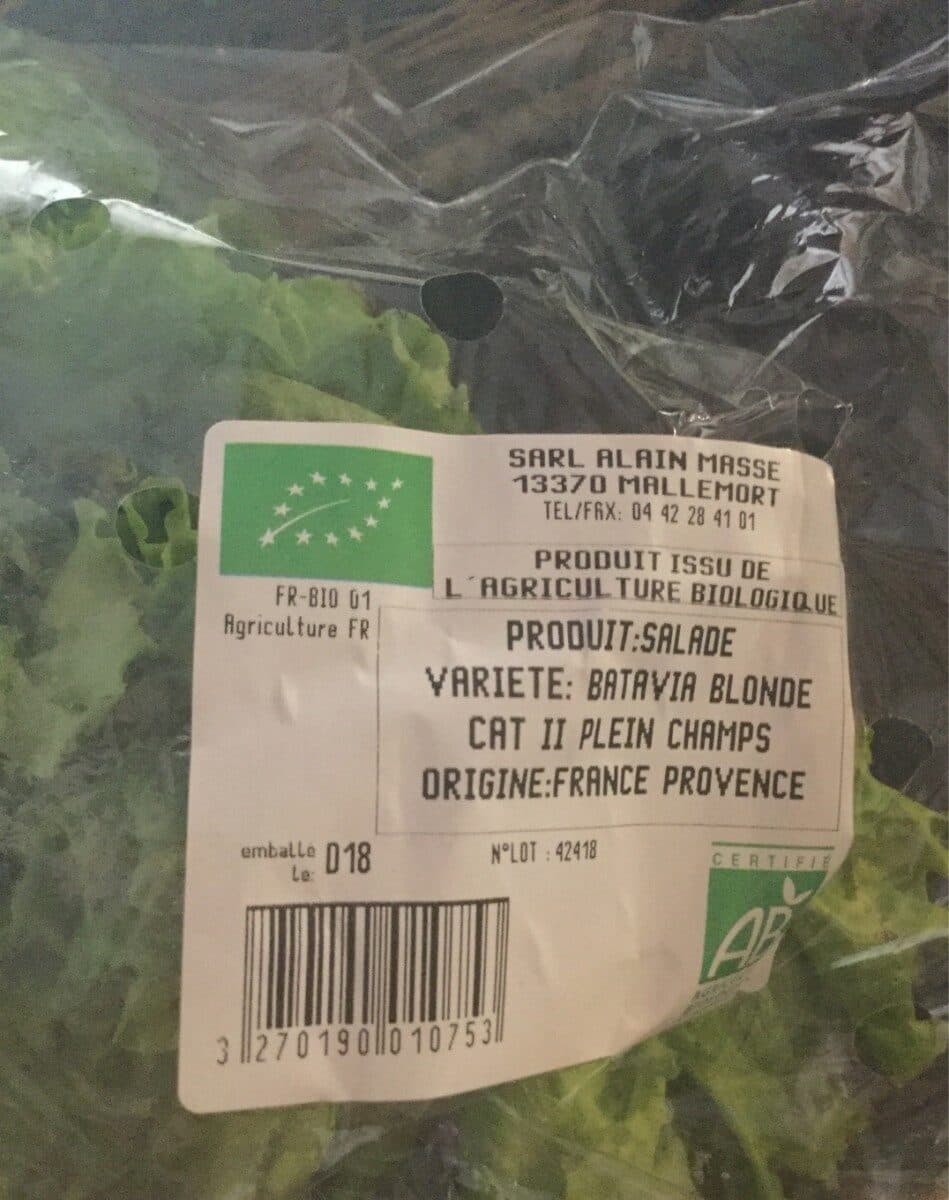 Alain MASSE Salade Batavia Bio Alain MASSE packshot