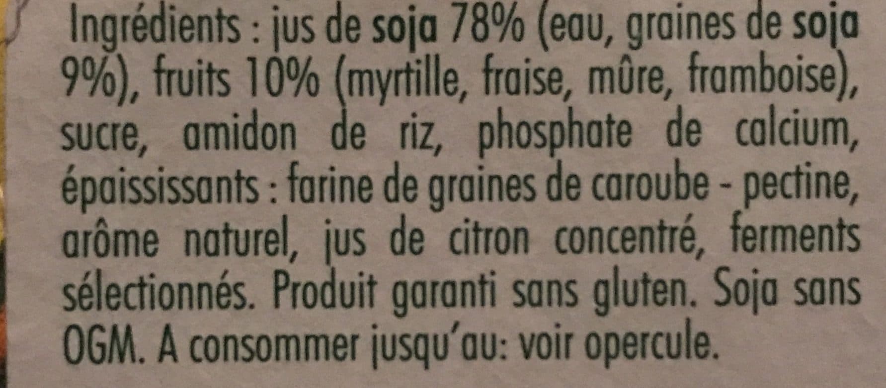 Sojasun Fruits Rouges morceaux de fruits packshot