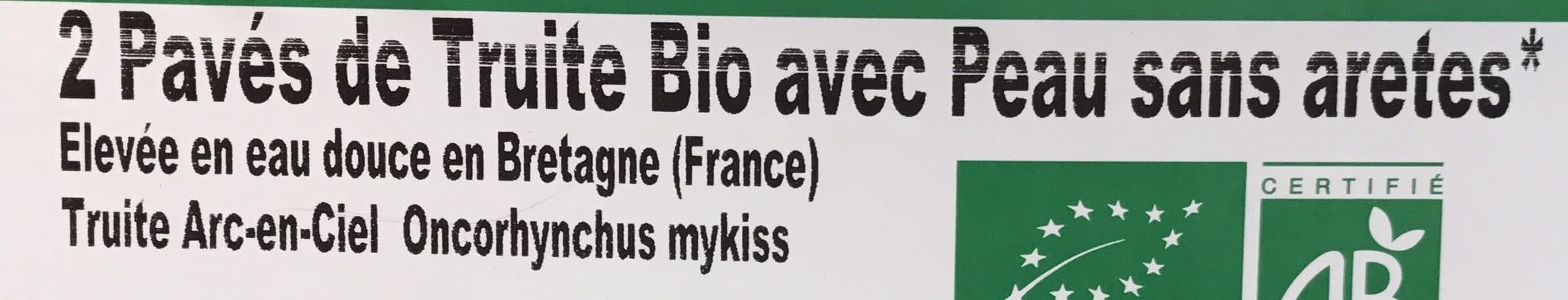 Bretagne Truite 2 pavés de truite bio avec peau sans arêtes packshot
