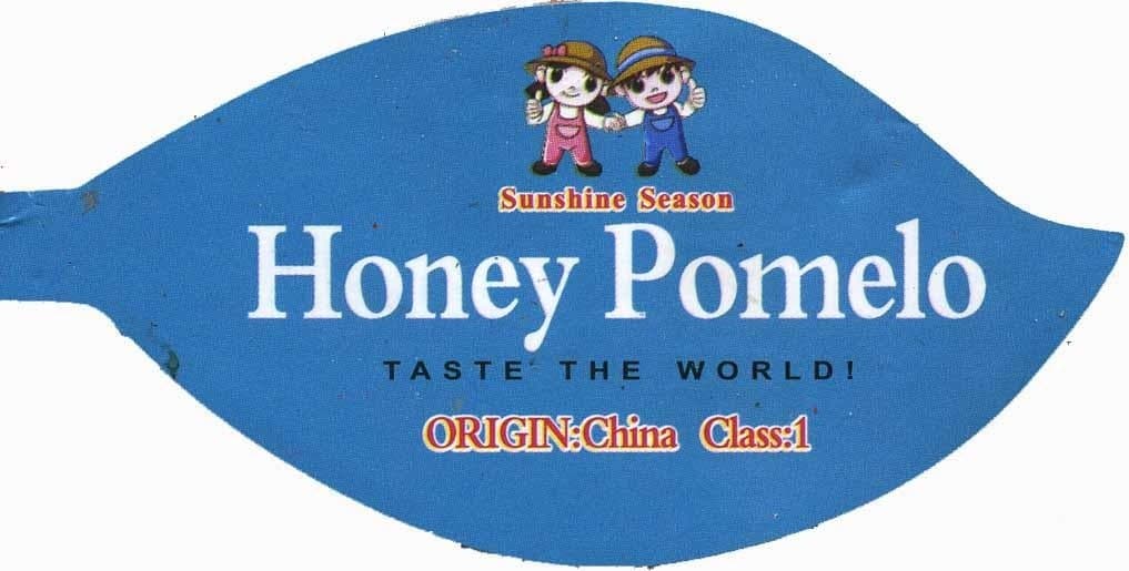 Sunshine Season Honey pomelo packshot