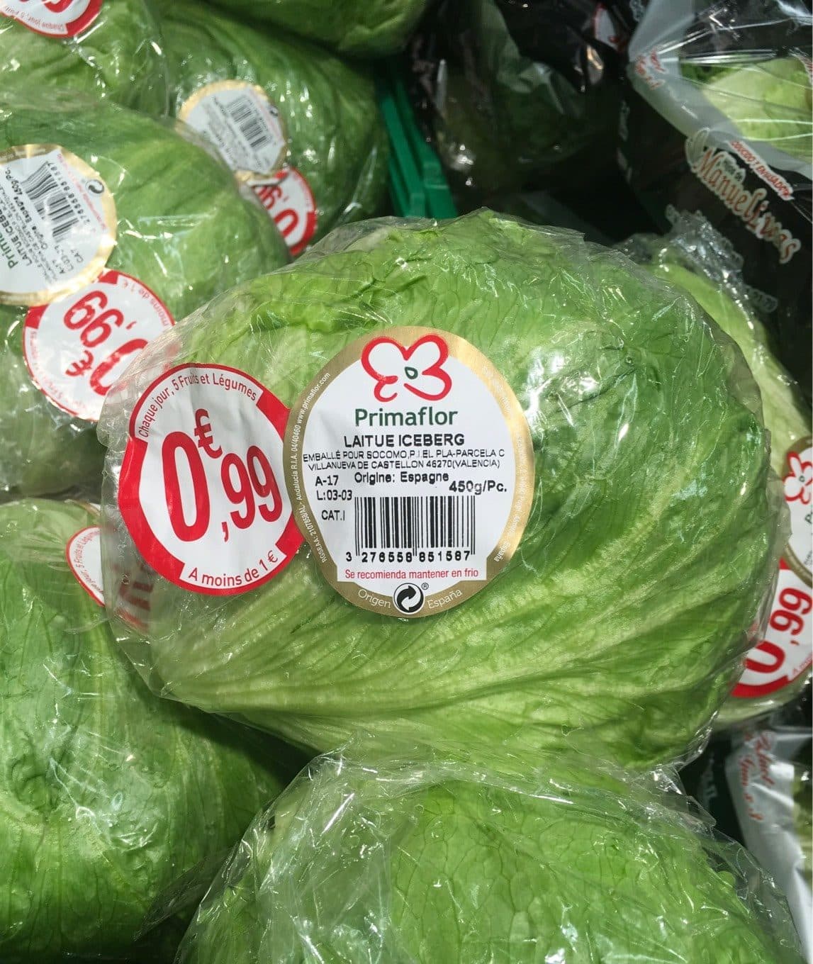 Primafor Salade ou laitue iceberg packshot