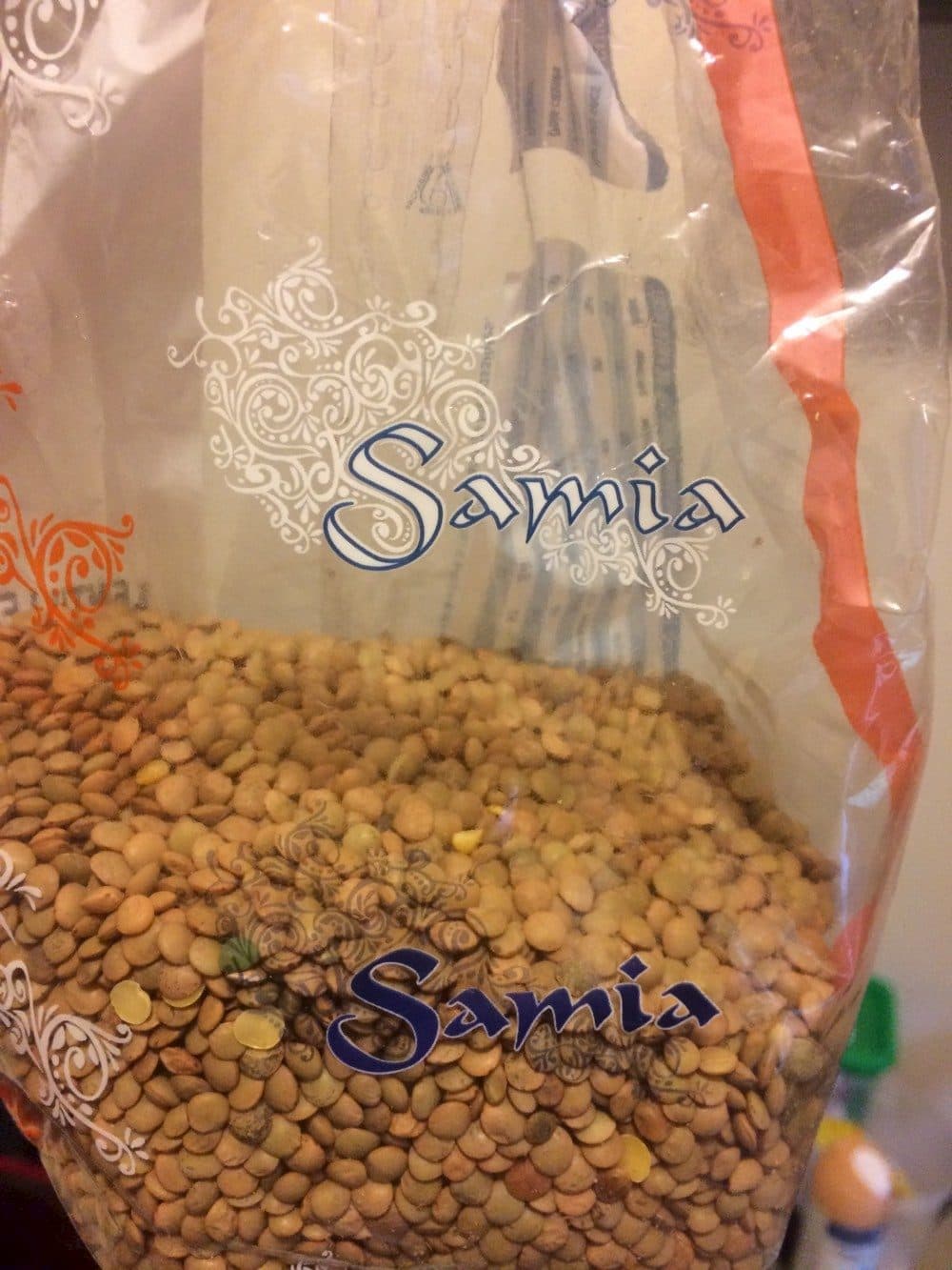 Samia Lentilles blondes packshot