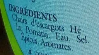Grandjean Escargots de Bourgogne 4 douzaines très gros packshot